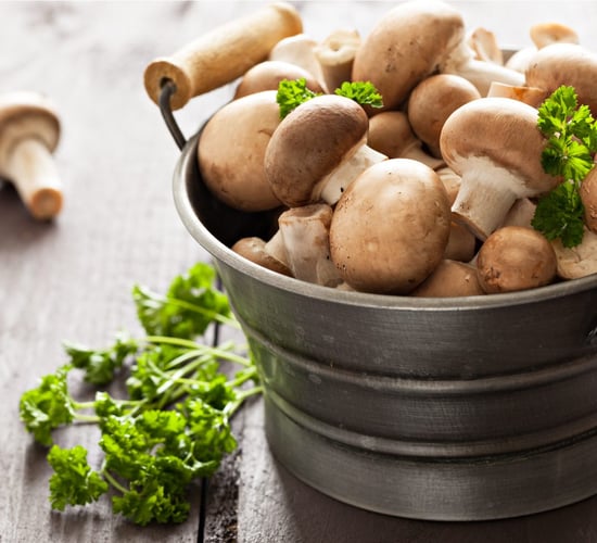 Mushroom firm enters administration just two years after £1.5m investment