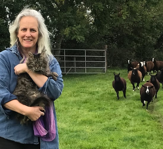 Kilkenny 'shepherd cat' gets the cream - lands owner tasty book deal