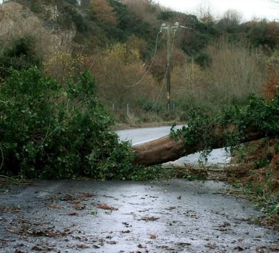 220,000 Irish homes and businesses without power as ex-hurricane Ophelia hits the UK