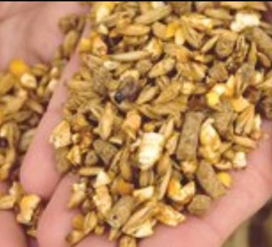 Could you use €1,000 worth of GAIN Animal Nutrition feedstuffs on your farm?