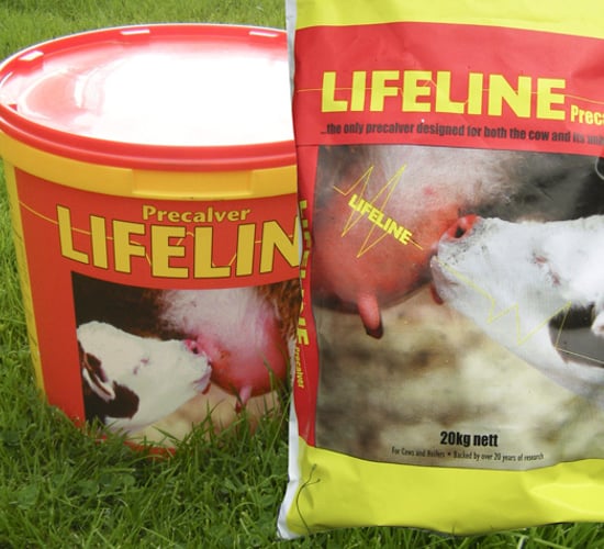 Lifeline Pre-calver: The only pre-calver for both calf and cow