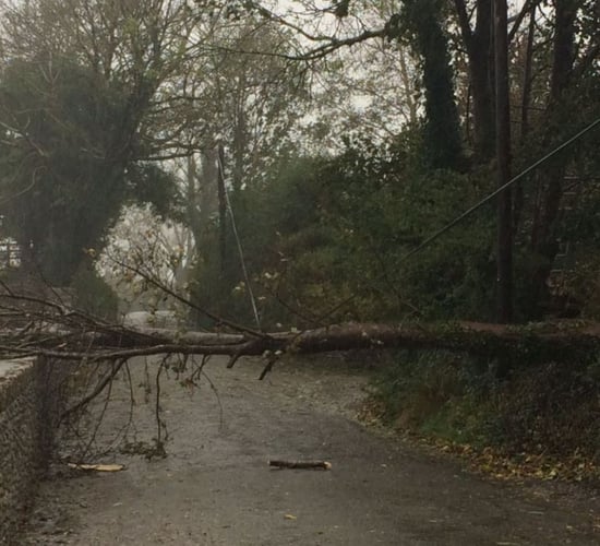 Further weather warnings issued with Storm Herminia on the way