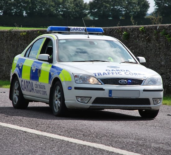 Reward for recovery of 13 stolen cattle upped to €15,000