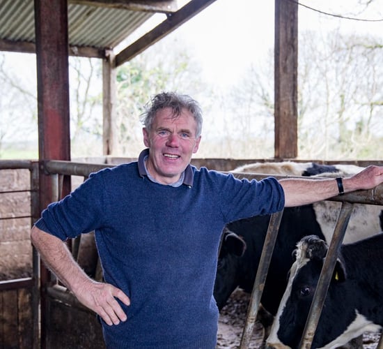 Dairy focus: Making the transition to spring milk in Co. Limerick
