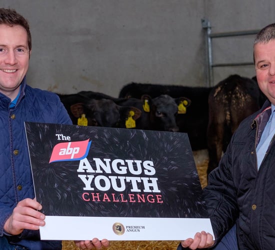 New practical competition gives teens chance to win calves and cash