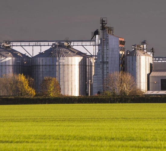 Boortmalt looking for malting barley growers in Co. Donegal