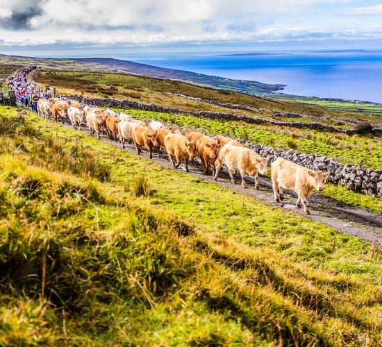 Third and final tranche of the Burren Programme opens for applications