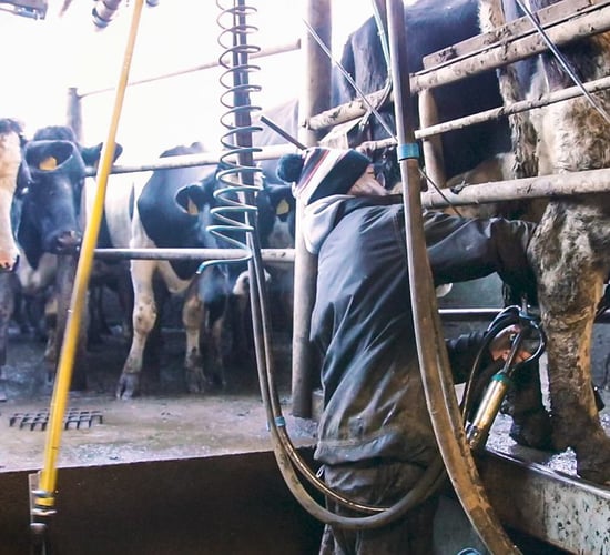 Is my dairy farm a good place for employees to work?
