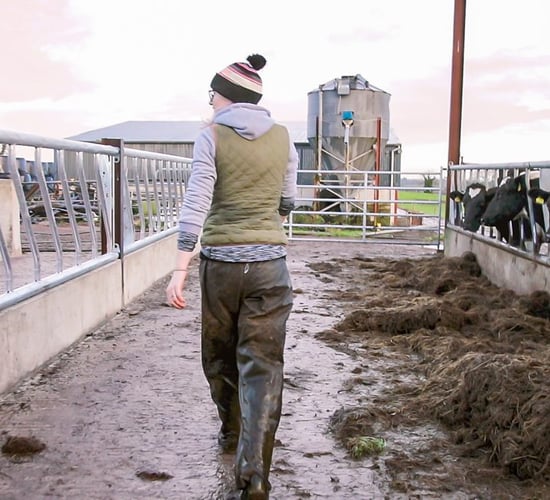 3.5% pay rise on the cards for Northern farm workers