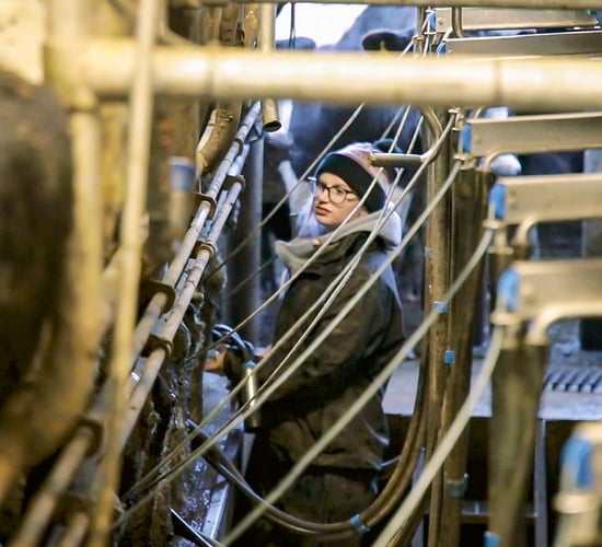 Progressive farmer focus: Breaking down boundaries on a Co. Limerick dairy farm