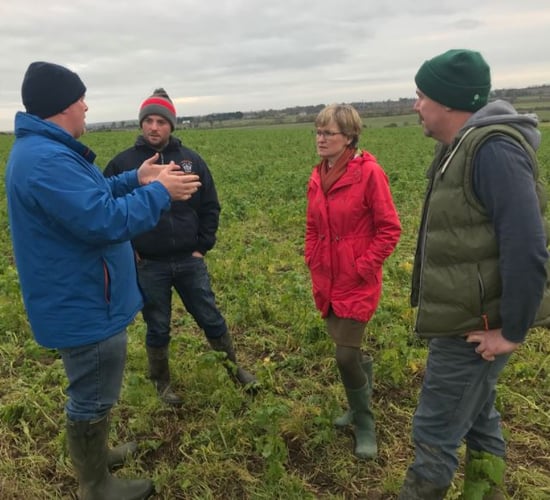 'Conservation agriculture has a role to play in future European farming'