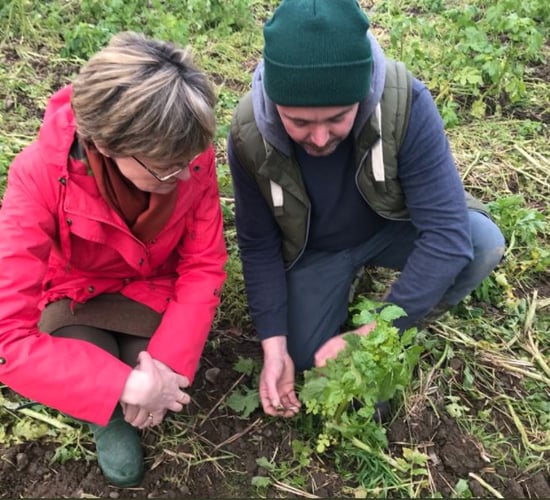 Today is World Soil Day - look after it