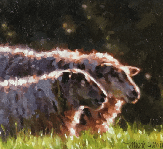 Acclaimed artist captures canvas of rural life