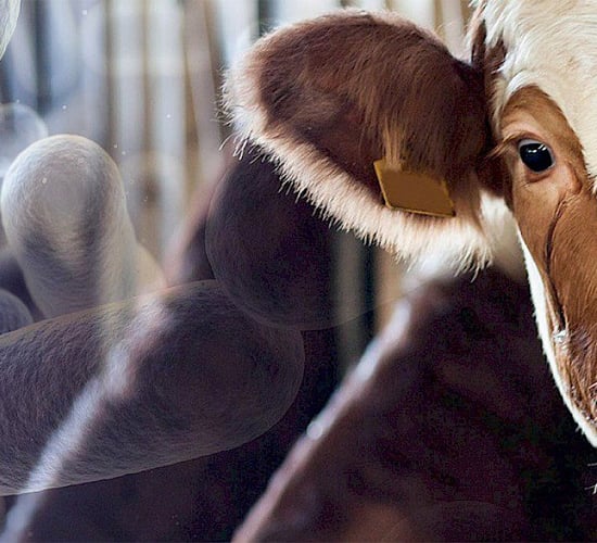 Six-hour TB test to launch at the end of this month