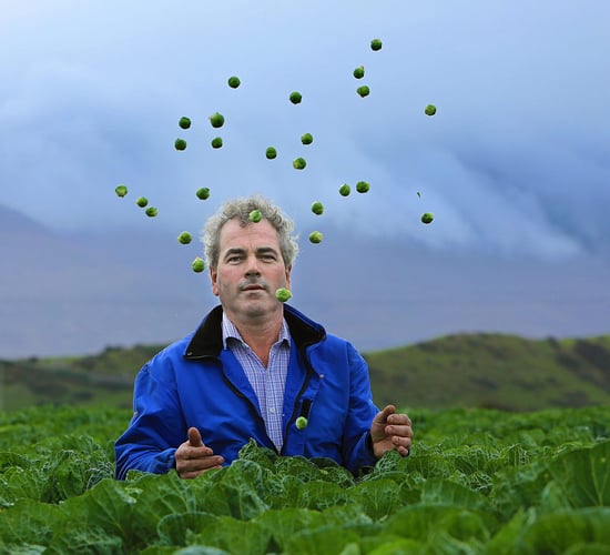'Cultivating brussels sprouts 18 hours a day won't ruin my Christmas dinner'