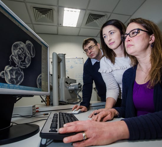 New dairy research aims to increase Irish industry competitiveness