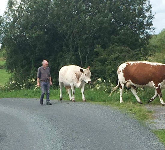 Roscommon-based sculptor turns his hand to cheesemaking