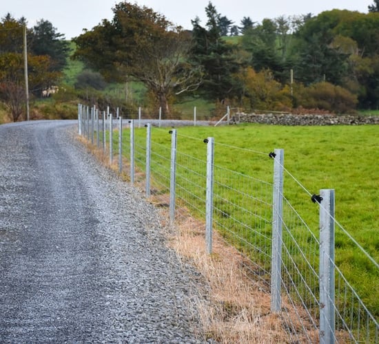 Explore top sheep and cattle handling systems with Clipex at Tullamore