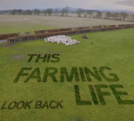 This Farming Life's Bobby Lennox to lead bill at sheep producer event