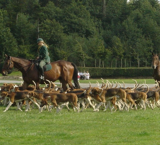 Woman dies in hunting accident in Tipperary