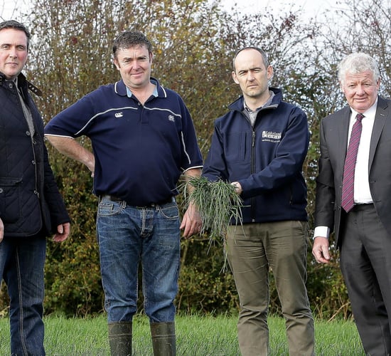 New Lakeland scheme to maximise farmers' profits and efficiency
