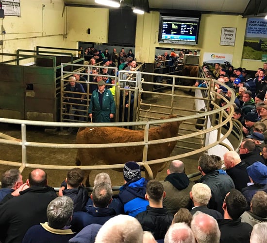 Irish co-op leaders set to gather to plan and safeguard for the future