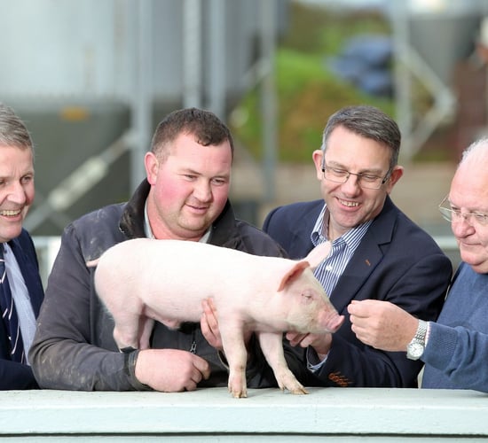 UK pork giant gives backing to Open Farm Weekend
