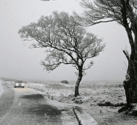 2 Status Yellow weather warnings issued