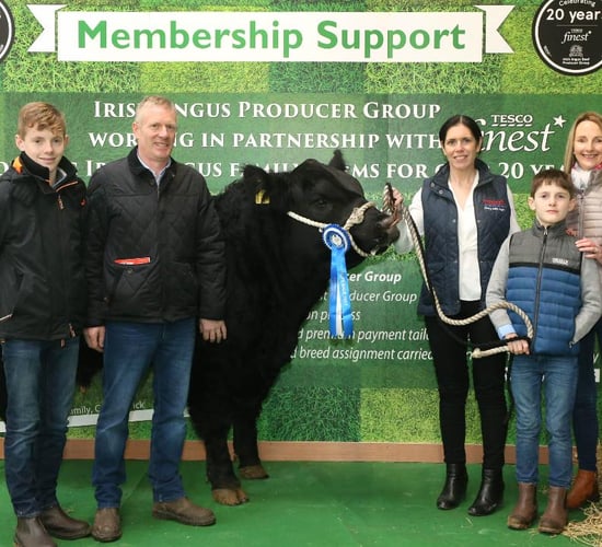 Competition winner secures premium bull at Irish Angus Elite Sale