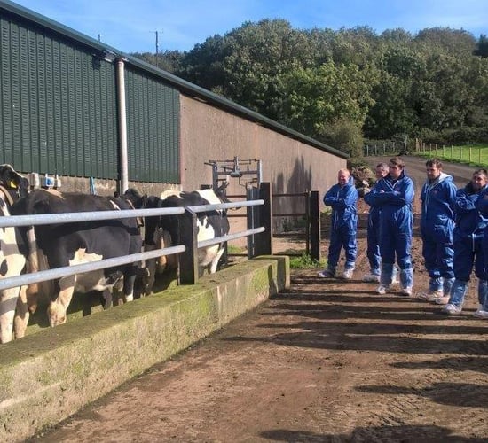 Discussion group farmers more likely to make more money