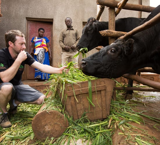 Video: Westmeath farmer observes late father's legacy 6,500 miles away