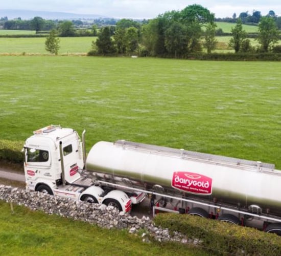 Dairygold 'in a good position from a capacity point of view to 2025'