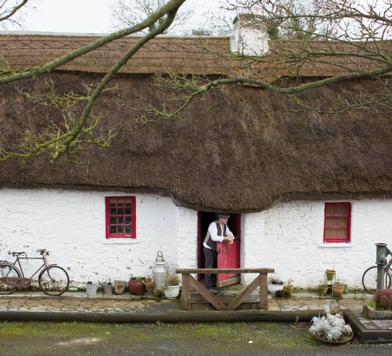 Boutique drinks project lifts spirits at Laois dairy farm