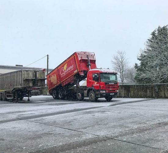 Tillage focus: New pellet mill for 180,000t of Irish grain