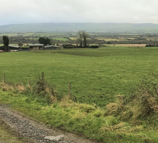 Beef focus: 'Moving to organic beef is the best decision I've made'
