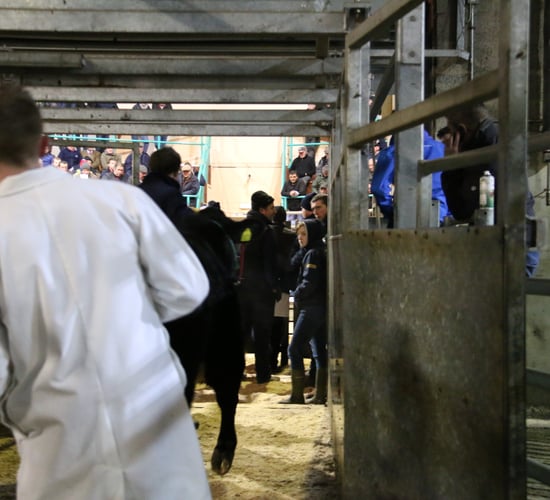 2 NI marts to close due to Covid-19 concerns