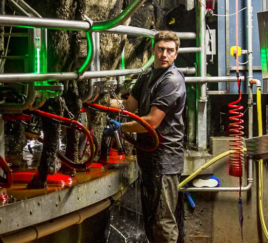 Dairy focus: 'We need to park our drive for efficiency and focus on people'