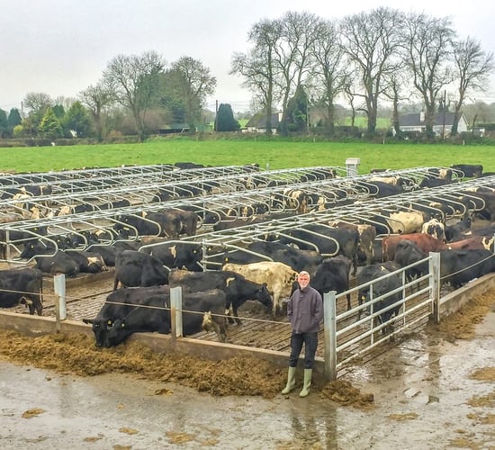 Dairy focus: Gearing up for a 'calf tsunami' in Co. Meath