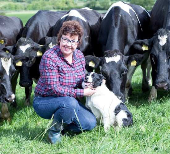 'IFA is still an old boys club'