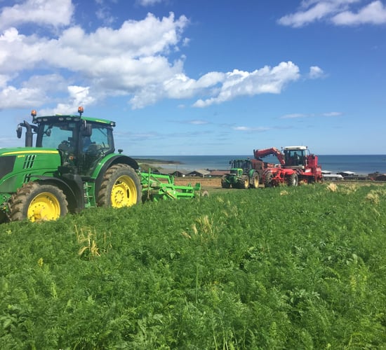 Supermarket agrees financial support for vegetable growers