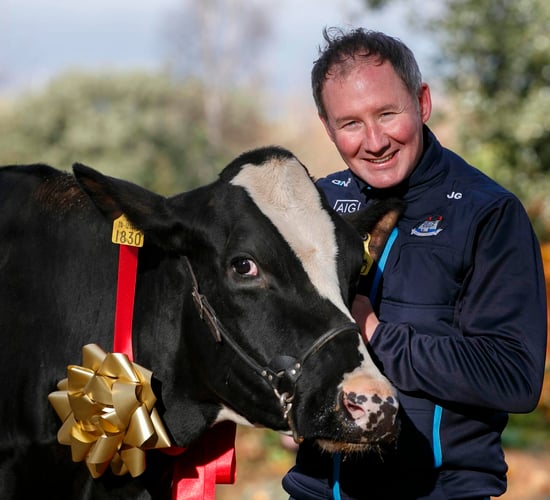 Watch: Jim Gavin takes a cow for a stroll around Dublin