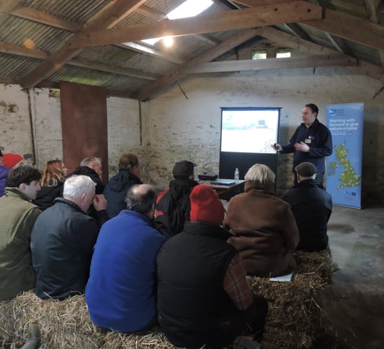 Yellowhammers and other birds benefit from 'farming together with nature'