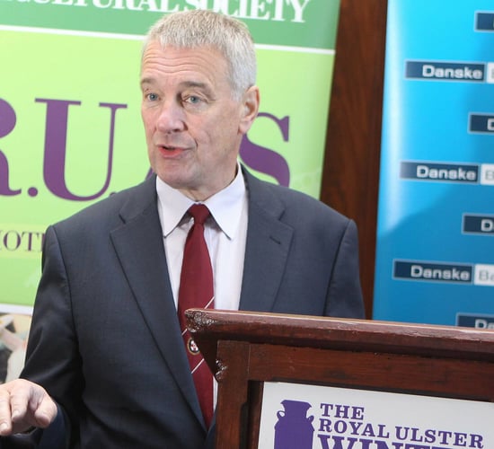 NI indepth: 'I was anxious the members hadn't got the message this could be the end of Balmoral Show'