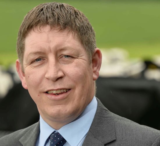 NI indepth: 'Most of my meetings are held around the kitchen table and I really enjoy that'