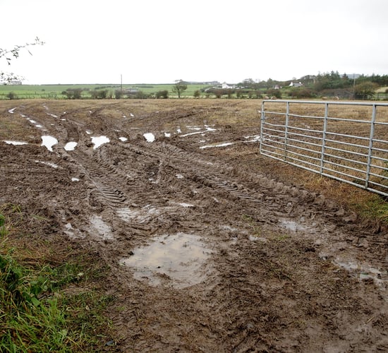Soil moisture deficits move towards field capacity