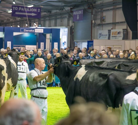 Winter Fair: Full results, pictures and video highlights