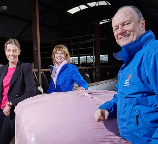 'Wrap It Pink' campaign raises €17,500 for the Irish Cancer Society in 2017