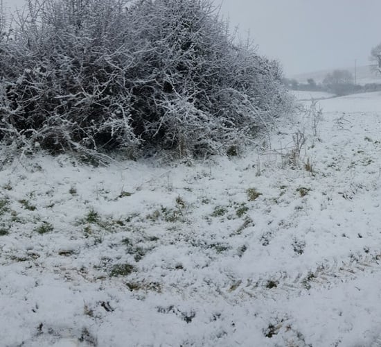 Status Red weather warning set to be extended over Munster and Leinster
