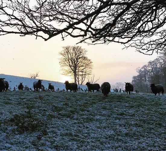 Orange weather alert issued as temperatures to plunge to -6°