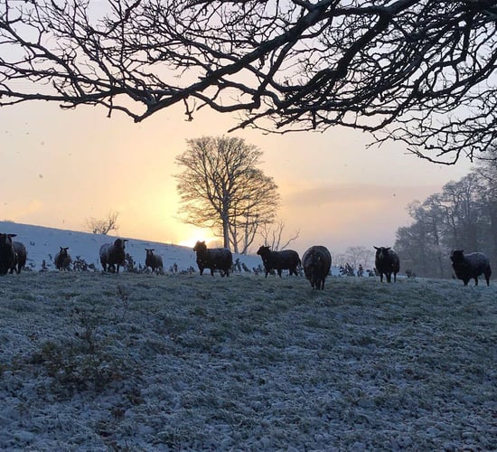 Temperatures to plummet to -10º in some areas